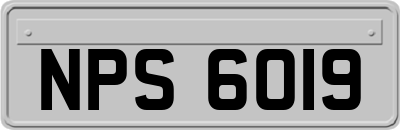 NPS6019