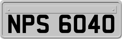 NPS6040