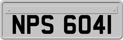 NPS6041