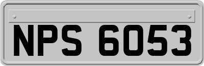 NPS6053