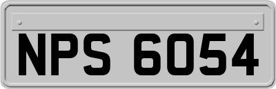 NPS6054
