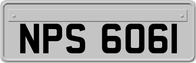 NPS6061