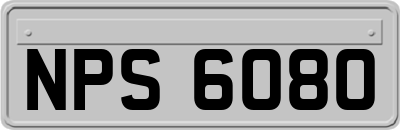 NPS6080