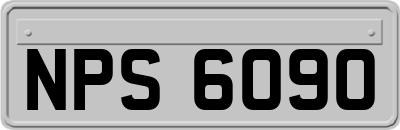 NPS6090