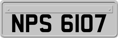 NPS6107