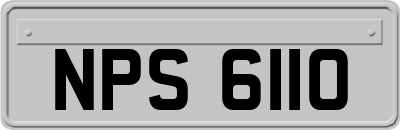 NPS6110