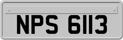 NPS6113