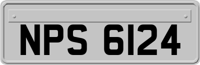 NPS6124