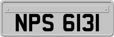 NPS6131