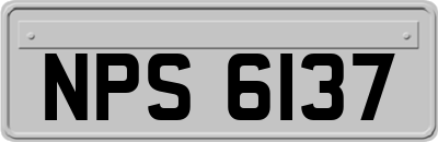 NPS6137