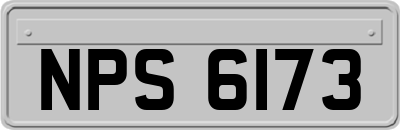 NPS6173