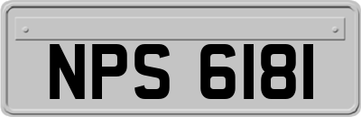 NPS6181