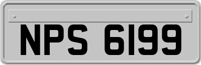 NPS6199