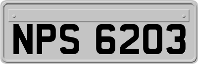 NPS6203