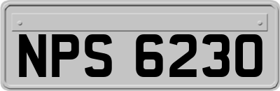 NPS6230