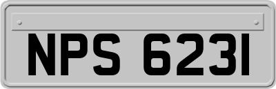 NPS6231