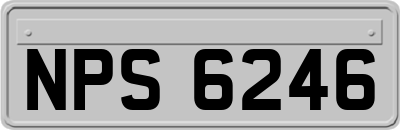 NPS6246