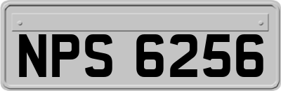 NPS6256