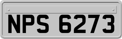 NPS6273