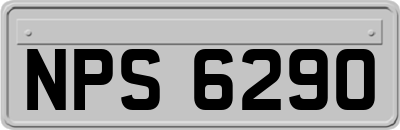 NPS6290