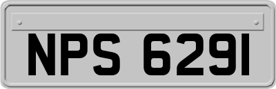 NPS6291