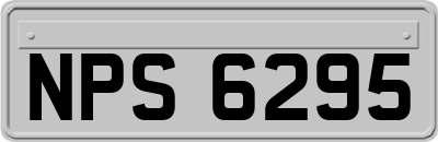 NPS6295