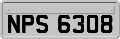NPS6308