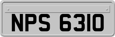 NPS6310