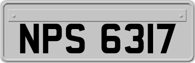 NPS6317