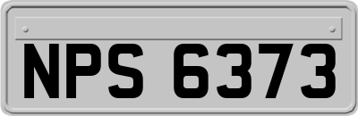 NPS6373