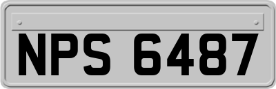 NPS6487