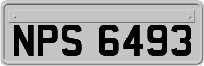 NPS6493