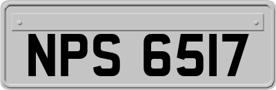 NPS6517
