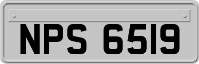 NPS6519