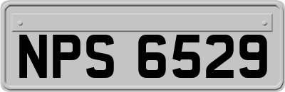 NPS6529