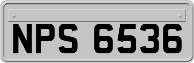 NPS6536