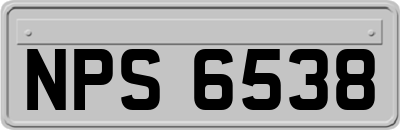 NPS6538
