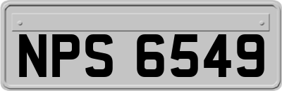 NPS6549