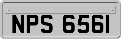 NPS6561