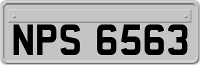 NPS6563