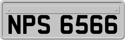 NPS6566
