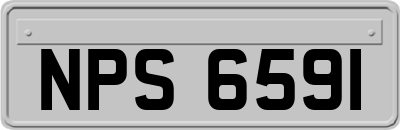 NPS6591