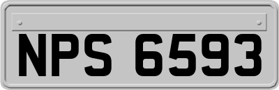 NPS6593