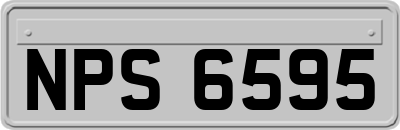 NPS6595