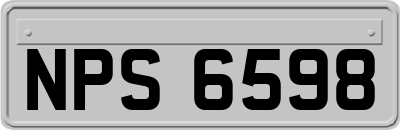 NPS6598