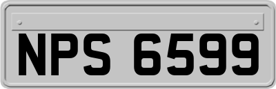 NPS6599