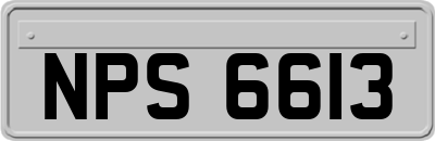NPS6613
