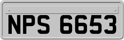 NPS6653
