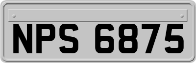 NPS6875