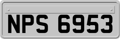 NPS6953